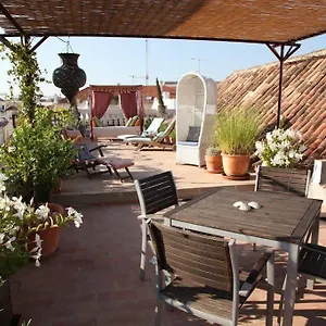 Casa Beleza Do Sul Affittacamere